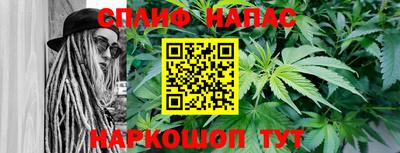 прущие крисы Кингисепп