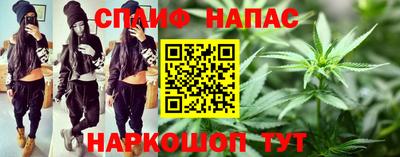 прущие крисы Кингисепп
