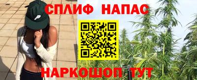 прущие крисы Кингисепп