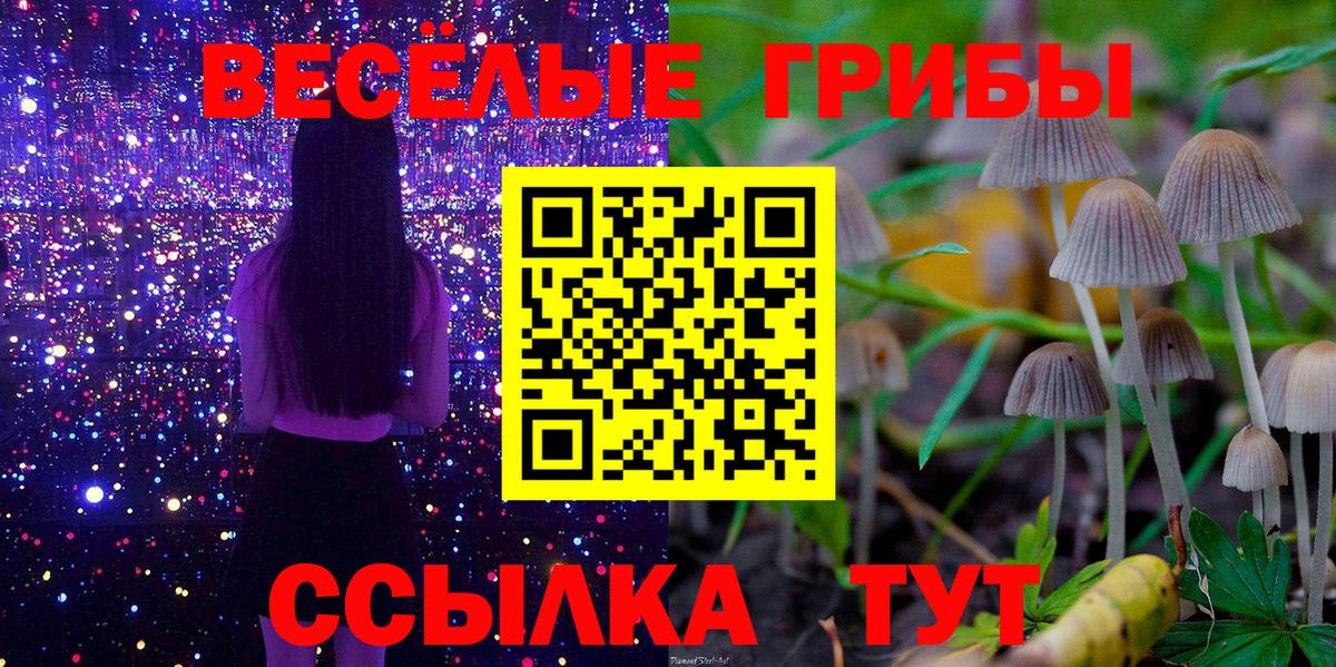 Псилоцибиновые грибы ЛСД  Вход с VPN  Добрянка 